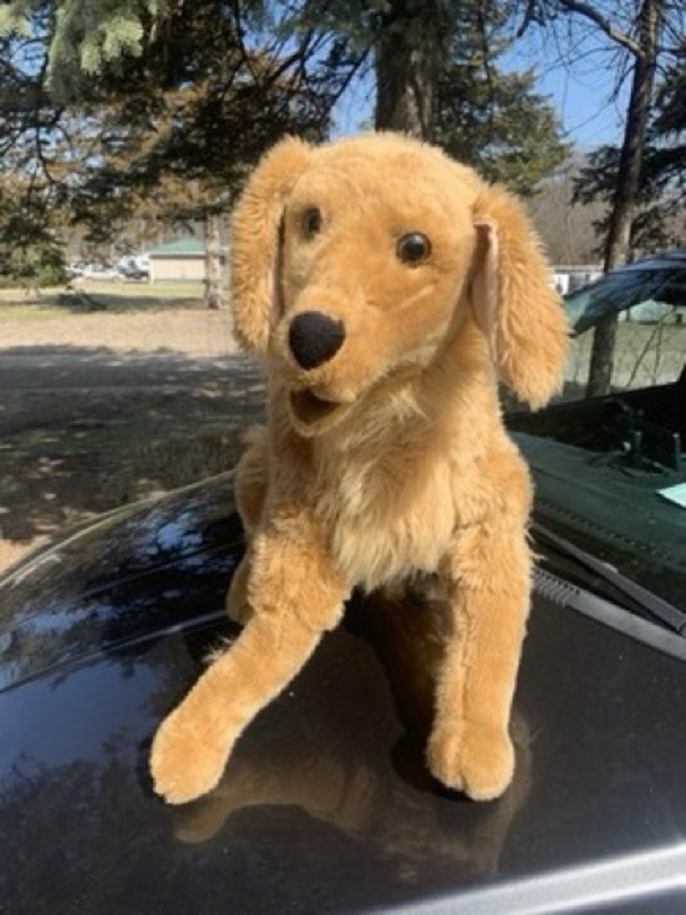 Melissa & Doug Large Golden Retriever Life-Size Plush Dog Stuffed Animal 31"